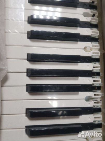 Casio CDP-120 10399791 keyboard TK-RJM511279*001