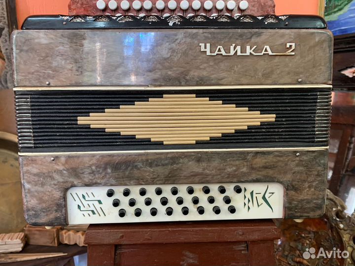 Гармонь чайка 2
