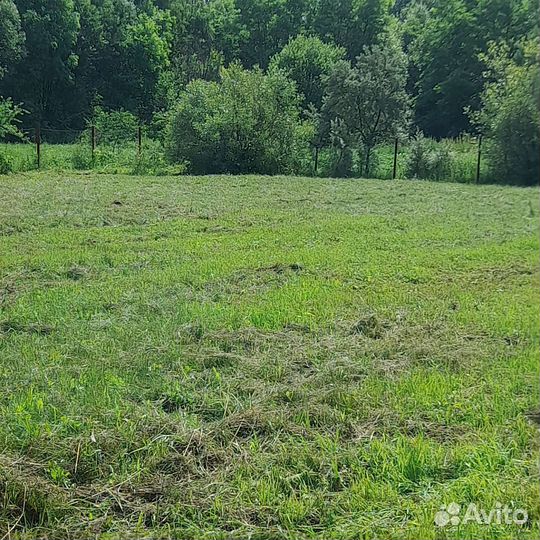 Расчистка участка от деревьев и кустарников