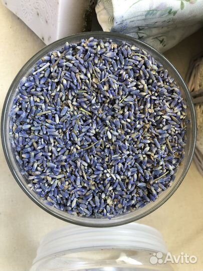 Лаванда сушеная, россыпью урожай 2024 бронь от 5кг