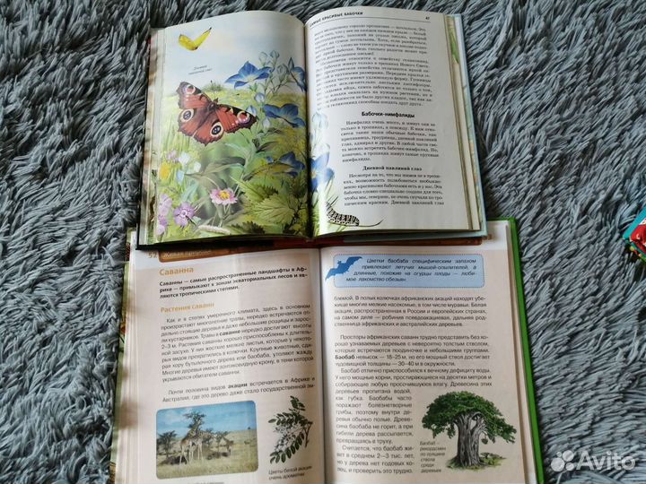 Живая природа для детей