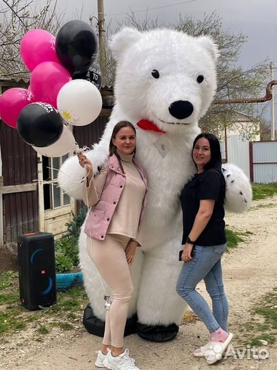 Поздравление Панда/ Чебурашка/ Белый Медведь