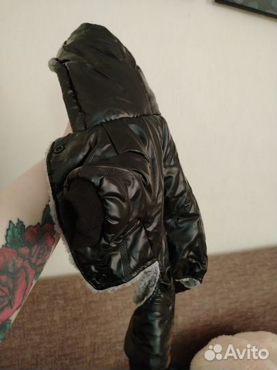 Вещи для собак и кошек