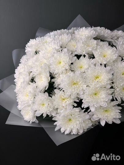 Букет из 15 белых кустовых хризантем