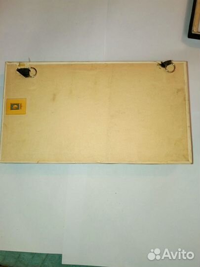 Скелет летучей мыши