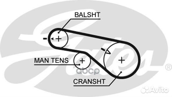 65x12.7 Ремень грм 5570XS Gates