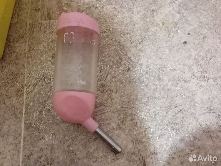 Сирийский хомяк с клеткой