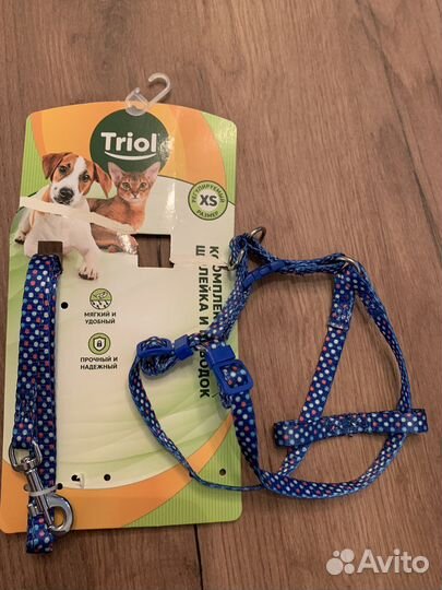 Ошейник и поводок