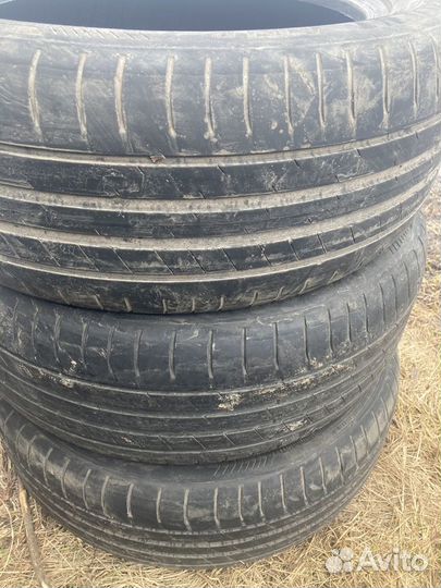 Goodyear EfficientGrip Performance 205/55 R16 91V