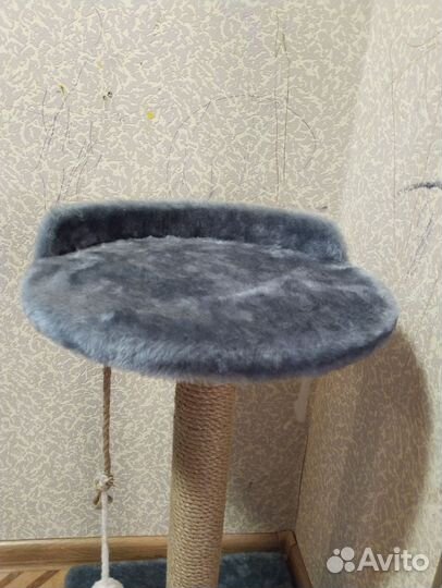 Когтеточка