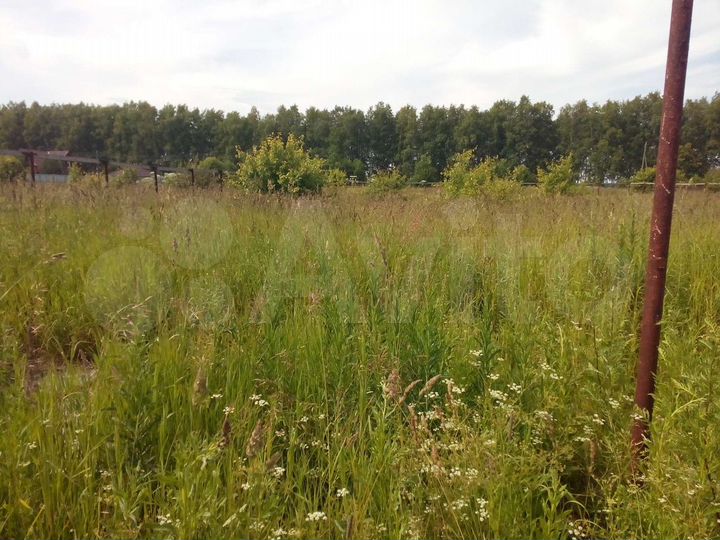 Участок 20 сот. (СНТ, ДНП)