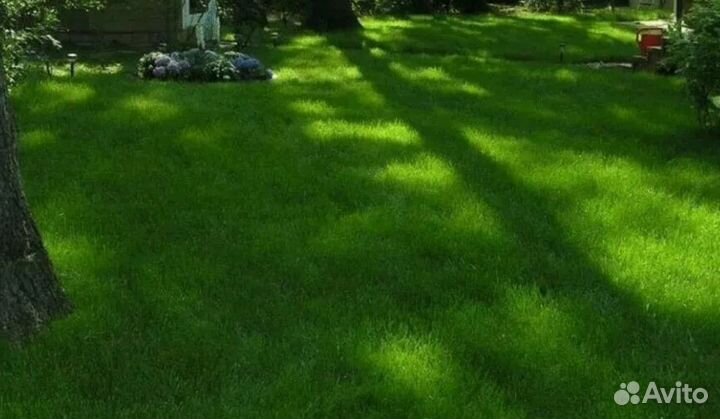 Теневой газон 10кг
