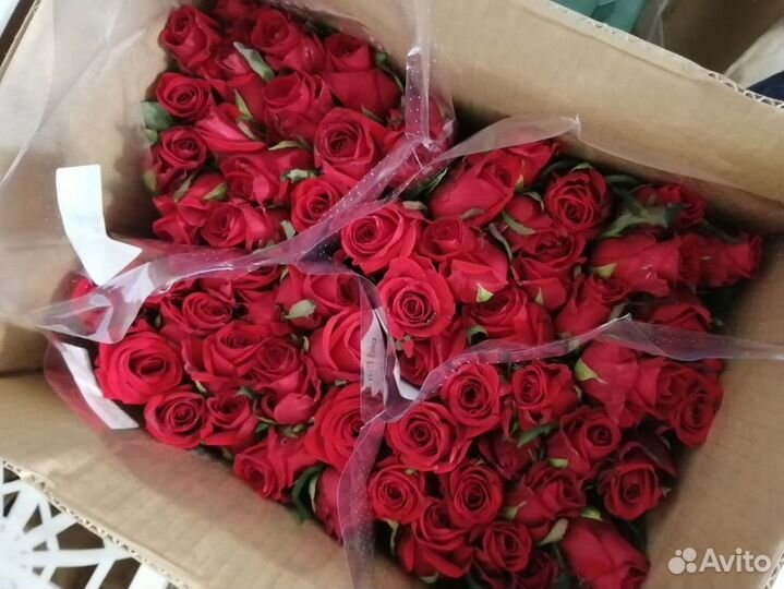 Букет 51 роза/101 роза
