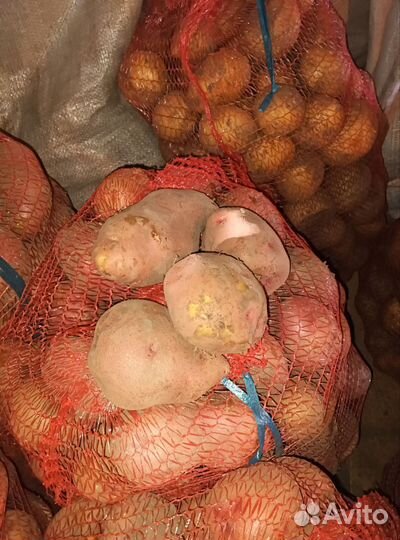 Продам картофель с доставкой