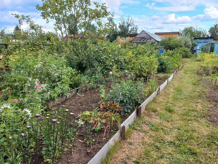 Дача 20 м² на участке 3 сот.