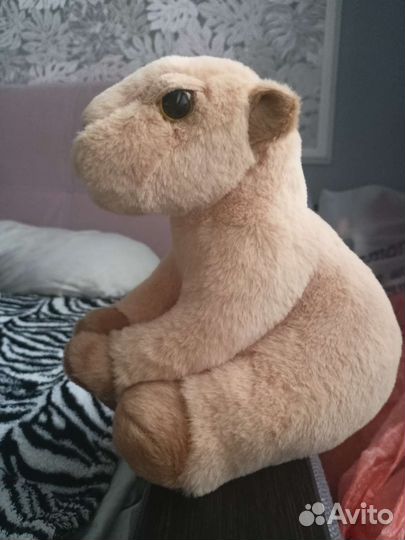 Сувенир капибара