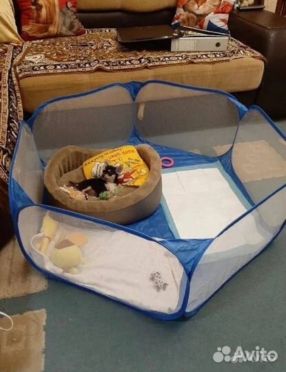Новый вольер манеж для собак/кошек