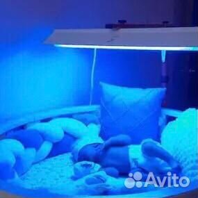 Прокат уф лампа от желтушки