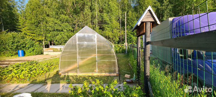 Теплицы 
