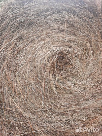 Сено,луговое,разнотравье