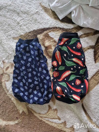 Одежда для кошек и собак