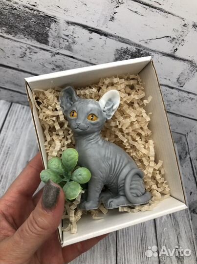 Канадский сфинкс мыло