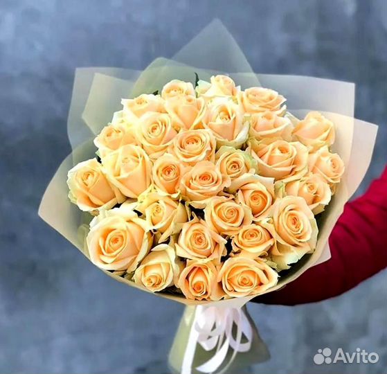 25 роз