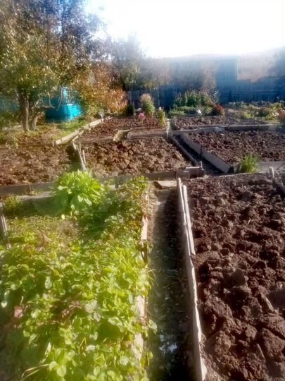 Дача 20 м² на участке 10,5 сот.