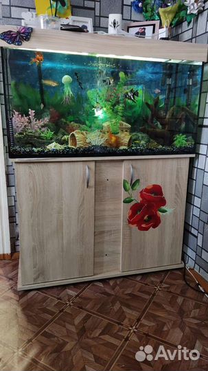Продаються аквариумы 20,110,250литров писать в лс