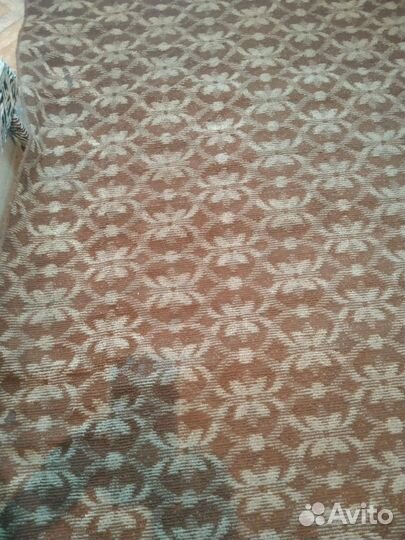 Ковры и паласы