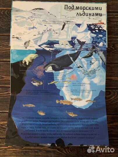 Продам детскую энциклопедию с окошками