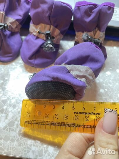 Ботиночки для мелких пород размер 6