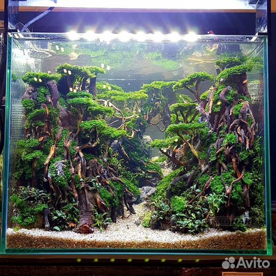 Коряги для аквариума,композиции,бонсай