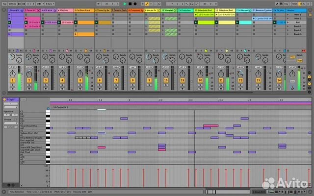 Ableton Live Lite