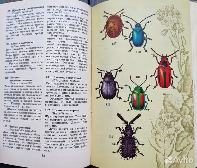 Атлас определитель насекомых