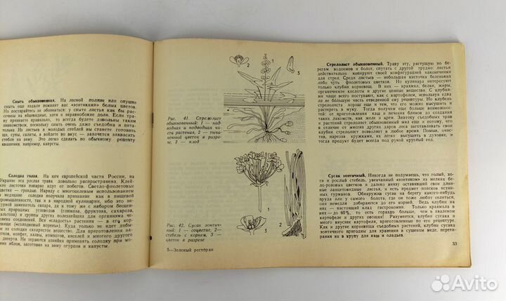 Зеленый ресторан Брусилов. Редкая. Веганская кухня