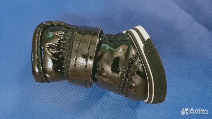 Ботинки для маленькой собаки