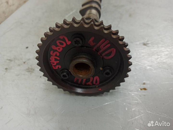 Распредвал выпускной Mercedes W140 S