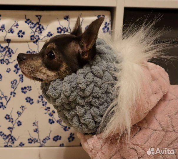 Снуд для собак