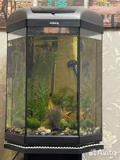 Аквариум с тумбой на 60 литров