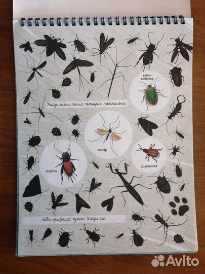 Книга для детей. Книга с заданиями. Для досуга