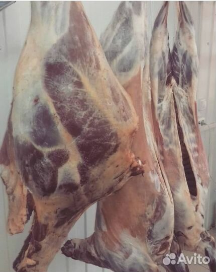 Свежее мясо, птица, молочная продукция