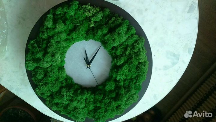 Стабилизированный мох ягель