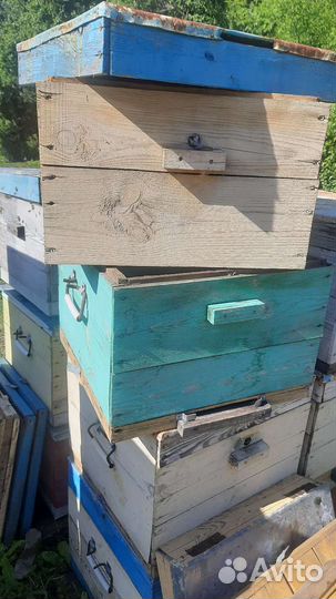 Продам ульи