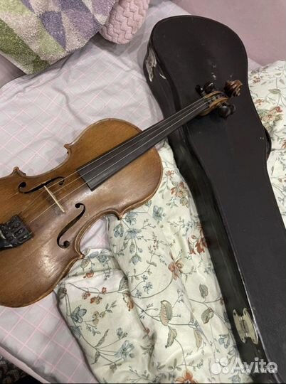 Скрипка страдивари