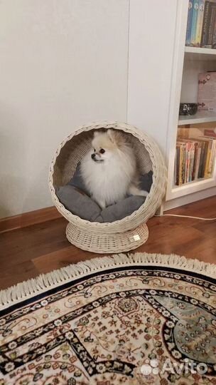 Домик для собак и кошек / Вольер для собак / Будка