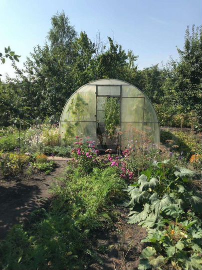 Участок 6 сот. (СНТ, ДНП)