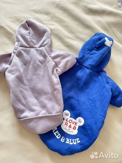 Одежда для собак мелких пород