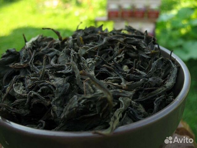 Иван чай копорский чай кипрей