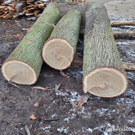 Дуб доска, слэб